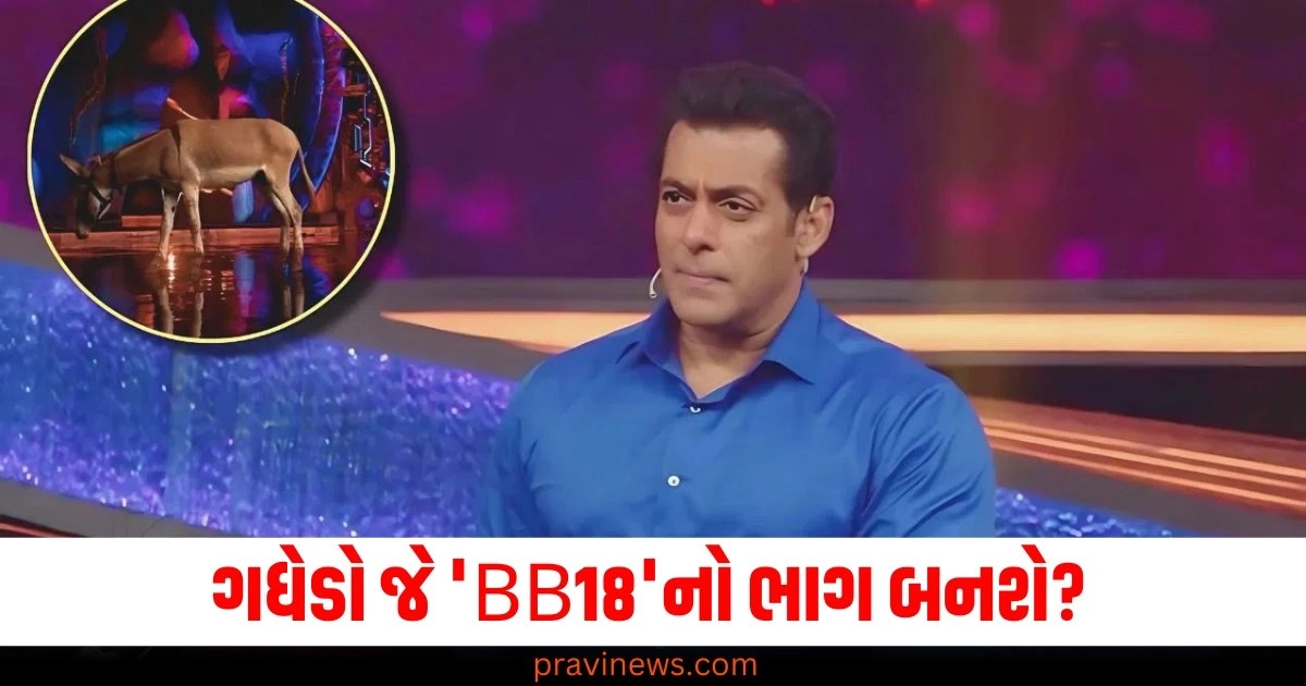 ગધેડો જે 'BB18'નો ભાગ બનશે? આ પ્રાણી ઘરનો પ્રથમ સભ્ય બન્યો https://www.pravinews.com/sports/bcci-shivam-dube-ruled-out-of-ind-vs-ban-t20-series-replaced-by-mumbai-indians-batter-tilak-varma-43968