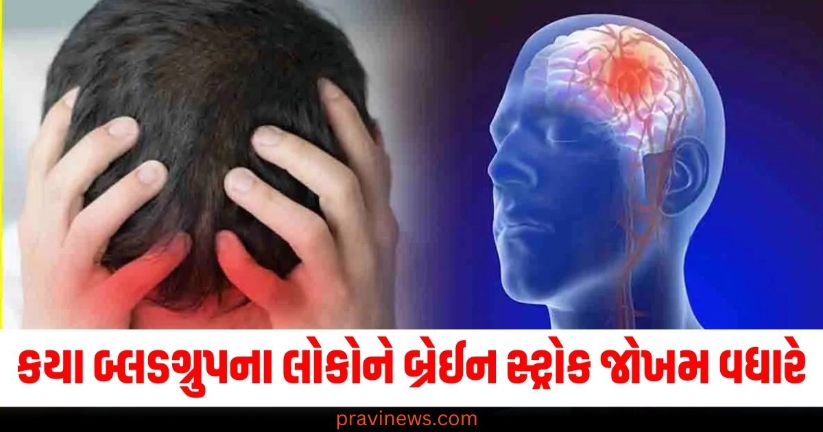 કયા બ્લડગ્રુપના લોકોને બ્રેઈન સ્ટ્રોક જોખમ વધારે, જાણો પ્રારંભિક સંકેતો અને નિવારક પગલાં https://www.pravinews.com/lifestyle/health-fitness/dengue-common-flu-similar-symptoms-difference-early-signs-body-pain-high-fever-vomiting-49900