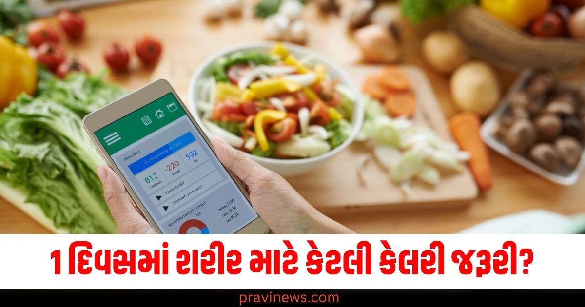 1 દિવસમાં શરીર માટે કેટલી કેલરી જરૂરી? જાણો સ્વસ્થ રહેવાની ટિપ્સ https://www.pravinews.com/lifestyle/health-fitness/spine-cancer-back-pain-symptoms-early-signs-treatment-causes-48132