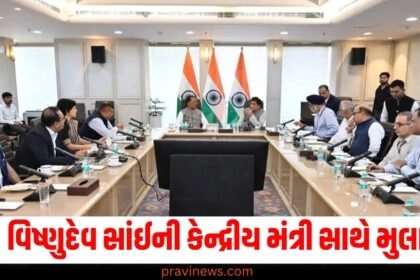 CM Vishnudev Sai meeting with Union Minister Piyush Goyal, CM Vishnudev Sai, India news, छत्तीसगढ़ के सीएम विष्णुदेव साय ने केंद्रीय मंत्री पीयूष गोयल से की मुलाकात
