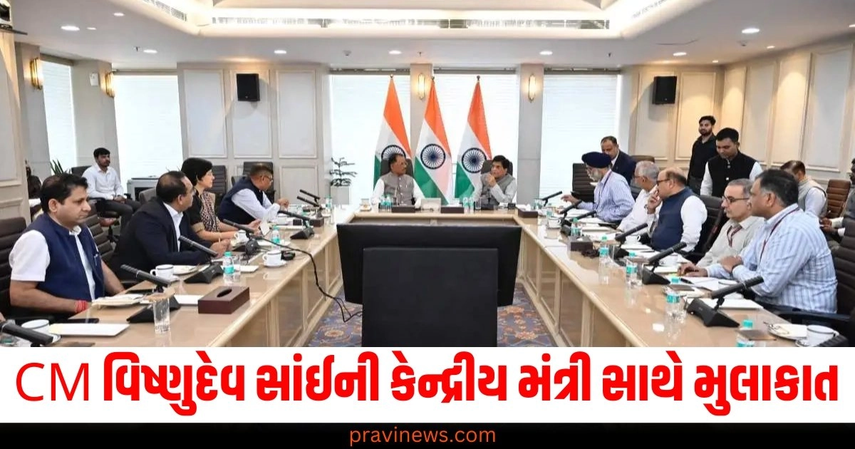 CM Vishnudev Sai meeting with Union Minister Piyush Goyal, CM Vishnudev Sai, India news, छत्तीसगढ़ के सीएम विष्णुदेव साय ने केंद्रीय मंत्री पीयूष गोयल से की मुलाकात