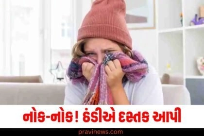 નોક-નોક! ઠંડીએ દસ્તક આપી છે, શરદી અને ઉધરસથી બચવા અપનાવો આ ઘરેલું ઉપાય https://www.pravinews.com/tag/%e0%aa%89%e0%aa%a7%e0%aa%b0%e0%aa%b8