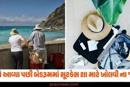 "Do not open suitcase directly after returning vacation, छुट्टी से आने के बाद डायरेक्ट न खोलें सूटकेस, कैसे खोलें सूटकेस, आपको तुरंत अपना सूटकेस नहीं खोलना चाहिए, सूटकेस खोलने पर हो सकता है खतरा, बेडरूम में ना खोले सूटकेस, how to open the suitcase, you should not open your suitcase immediately,