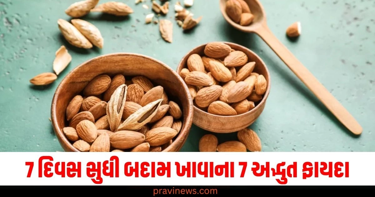 7 દિવસ સુધી બદામ ખાવાના 7 અદ્ભુત ફાયદા, જાણો તેને ખાવાની સાચી રીત https://www.pravinews.com/gujarat-news/gujarat-vadodara-underground-water-level-huge-increase-central-ground-water-board-report-50869