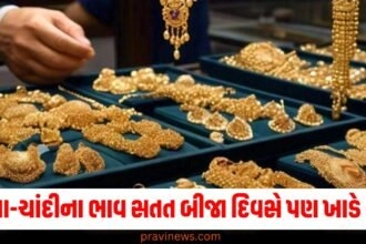 "gold rate today, gold price today, gold price, gold rate, 1 gram gold rate today, 22ct gold price today, gold rate today 22k, 24ct gold price today, gold price today 22k, mcx gold, 22 carat gold rate today, indian gold rate today