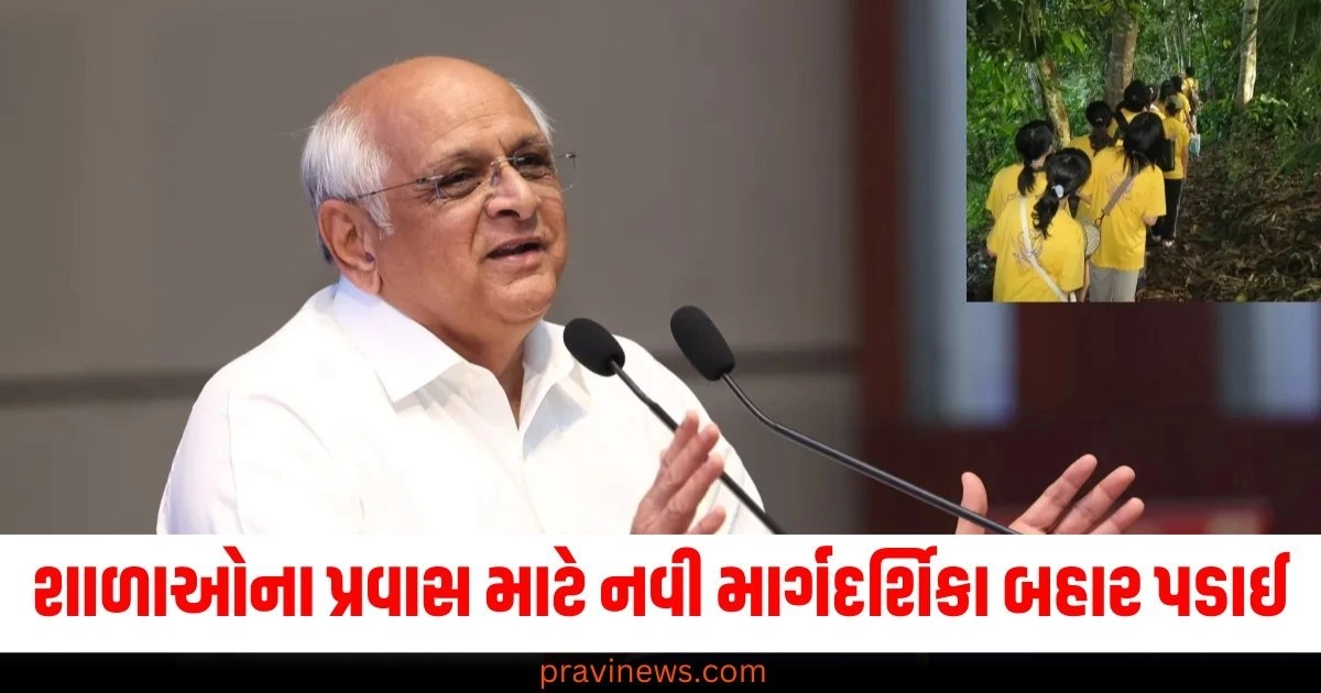 ગુજરાત સરકારે શાળાઓના પ્રવાસ માટે નવી માર્ગદર્શિકા બહાર પાડી, આ વસ્તુઓ પર પ્રતિબંધ રહેશે https://www.pravinews.com/gujarat-news/gujarat-government-issued-new-guidelines-for-educational-tours-of-schools-these-things-will-be-banned-51187