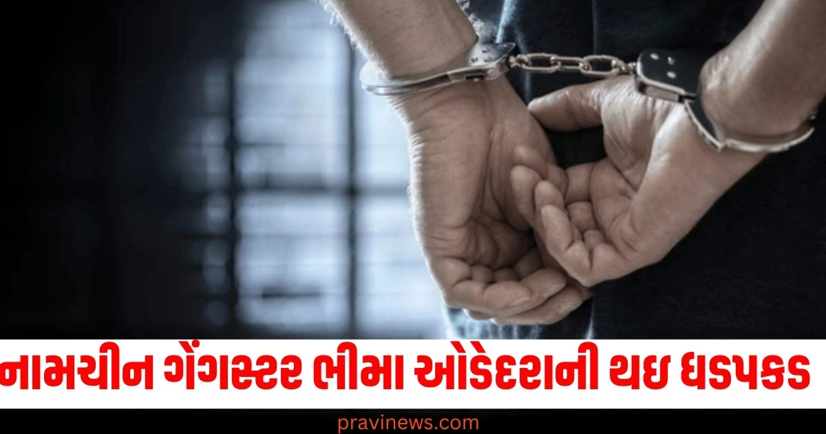 પોરબંદર પોલીસને મળી મોટી સફળતા, નામચીન ગેંગસ્ટર ભીમા ઓડેદરાની થઇ ધડપકડ https://www.pravinews.com/international-news/middle-east-iran-hosts-naval-drills-with-russia-and-oman-in-indian-ocean-amid-tensions-with-israel-48864