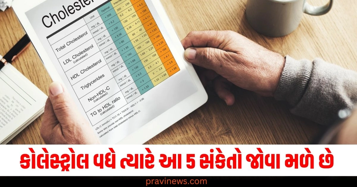 Symptom, Urine, Health News, Gujarati News, Bad Cholesterol, Health Tips, urine Foam, Crystals in urine, હાઈ કોલેસ્ટ્રોલ,