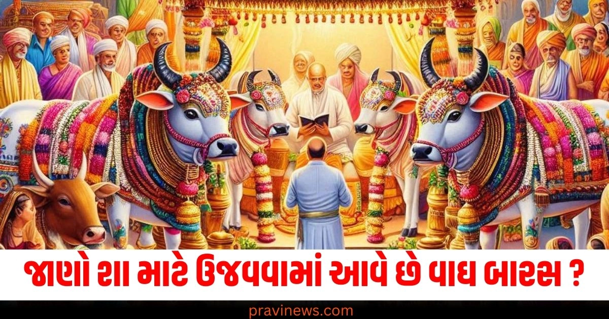 Wagh Baras, Celebration, Significance, Worship, Cattle,