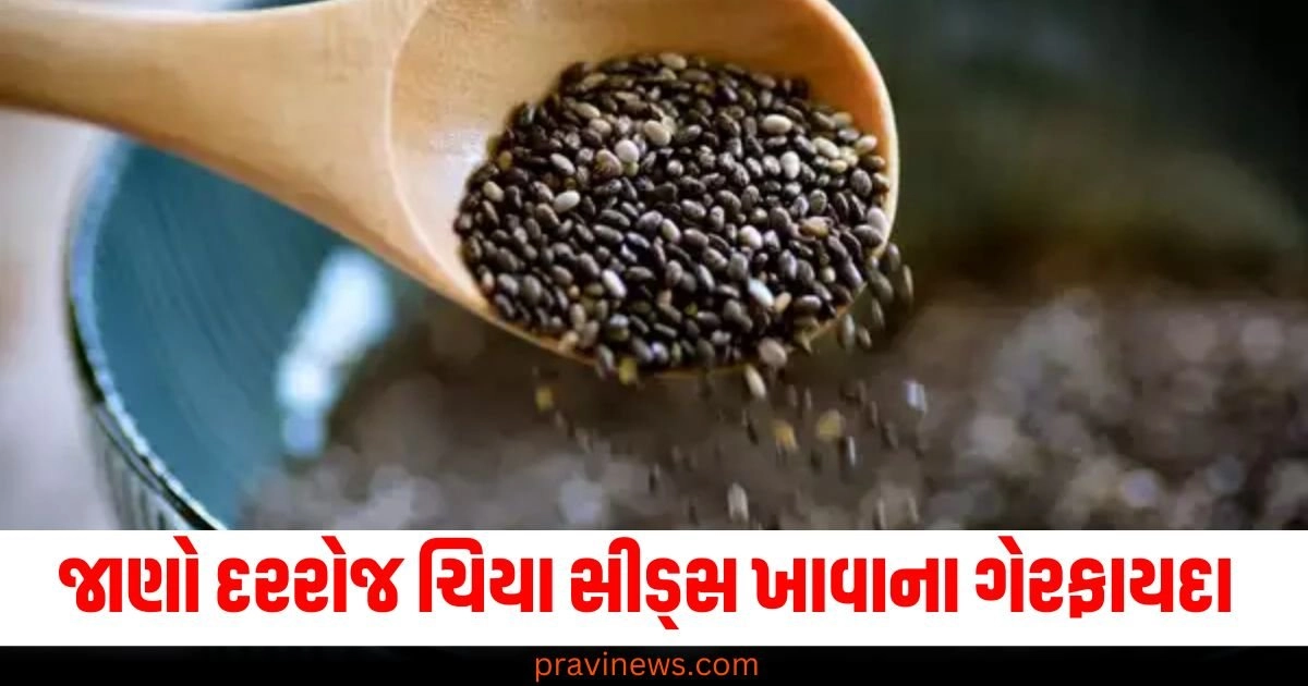 વજન ઘટાડવા માટે દરરોજ ચિયા સીડ્સ ખાઓ છો તો આ ગેરફાયદા થશે https://www.pravinews.com/religion/navratri-2024-8th-day-devi-maa-mahagauri-puja-significance-puja-vidhi-bhog-prasad-and-mantra-45375