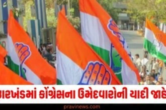 ઝારખંડમાં કોંગ્રેસના ઉમેદવારોની યાદી જાહેર, સુધીર કુમાર ચંદ્રવંશીને બિશ્રામપુરથી ટિકિટ મળી https://www.pravinews.com/assembly-elections-jharkhand/jharkhand-assembly-election-2024-jmm-releases-first-list-of-35-candidates-know-who-got-ticket-from-where-50071