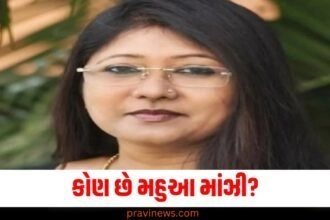 કોણ છે મહુઆ માંઝી? જેને JMMએ રાંચીથી ઉમેદવાર બનાવી https://www.pravinews.com/assembly-elections-jharkhand/jharkhand-assembly-election-2024-jmm-releases-first-list-of-35-candidates-know-who-got-ticket-from-where-50071