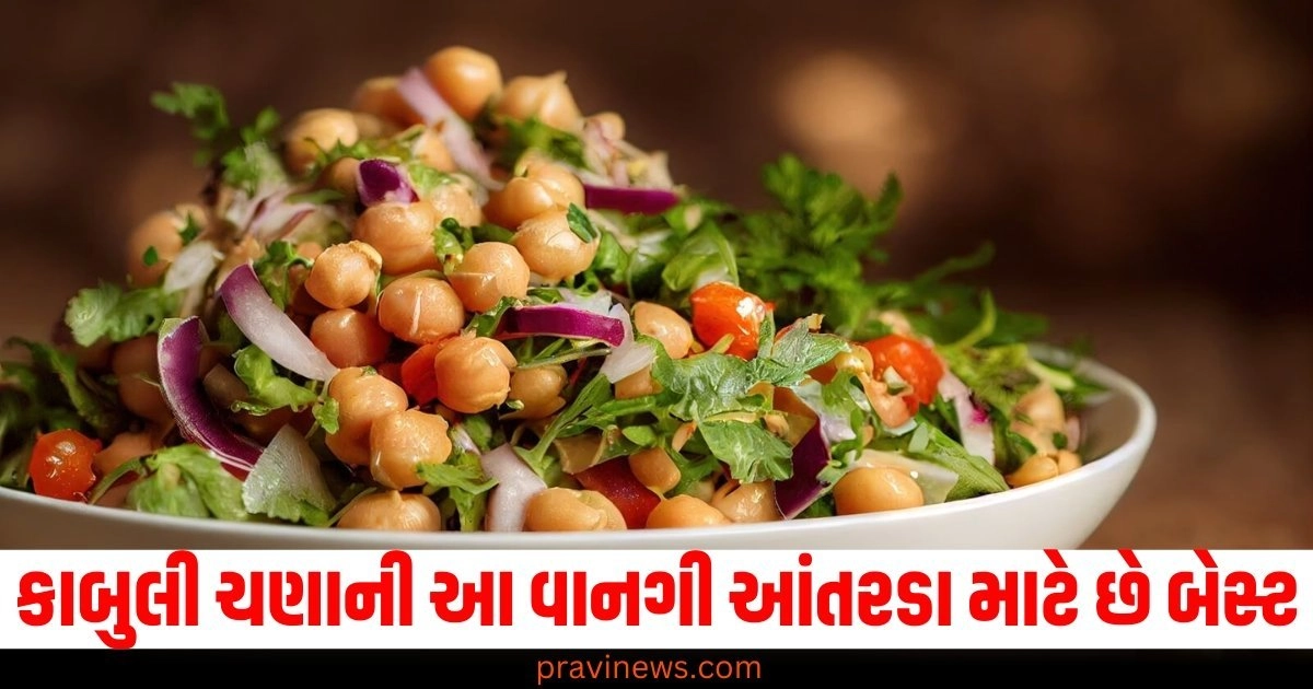 કાબુલી ચણાની આ વાનગી આંતરડા માટે છે બેસ્ટ, ફટાફટ લખી લો રેસિપી અને તેના ફાયદા https://www.pravinews.com/food/know-the-chickpea-salad-sandwich-recipe-and-benefits-50647