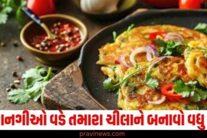 આ 4 સ્વાદિષ્ટ વાનગીઓ વડે તમારા મનપસંદ ચીલાને પણ બનાવો વધુ હેલ્ધી https://www.pravinews.com/tag/%e0%aa%b8%e0%ab%8d%e0%aa%b5%e0%aa%be%e0%aa%a6%e0%aa%bf%e0%aa%b7%e0%ab%8d%e0%aa%9f