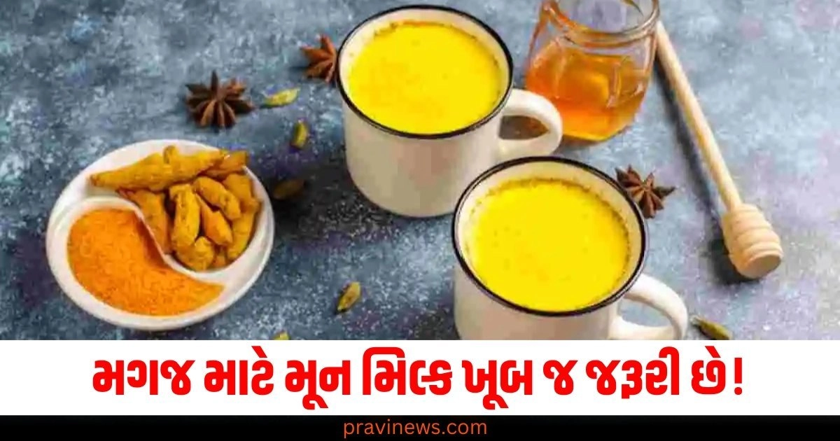 મગજ માટે મૂન દૂધ ખૂબ જ જરૂરી છે! જાણો બનાવવાની સાચી રીત https://www.pravinews.com/world-news-in-gujarati/up-diwali-bonus-government-employees-yogi-government-announced-50525