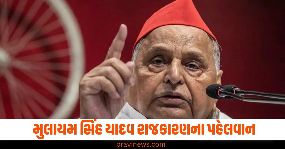 અખાડાથી રાજકારણ સુધી, ફિલ્મ સ્ટોરીથી ઓછું નથી મુલાયમ સિંહનું જીવન, કેવી રીતે બન્યા રાજનીતિના પહેલવાન? https://www.pravinews.com/world-news-in-gujarati/ratan-tata-death-news-amit-shah-rahul-gandhi-to-attend-funeral-list-of-people-attending-last-rituals-of-ratan-tata-45444