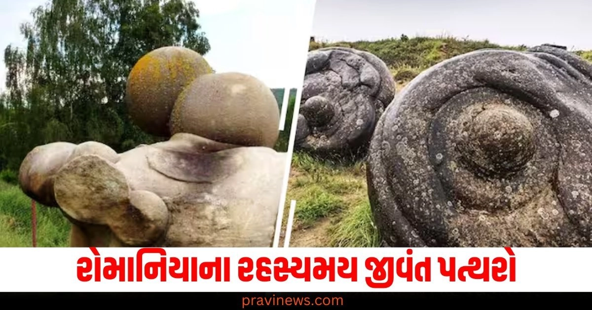 રોમાનિયાના રહસ્યમય જીવંત પત્થરો, જે પ્રજનન દ્વારા તેમની સંખ્યામાં વધારો કરે છે https://www.pravinews.com/automobile/5-important-insurance-add-ons-you-should-know-about-return-to-invoice-key-replacement-engine-protection-50422