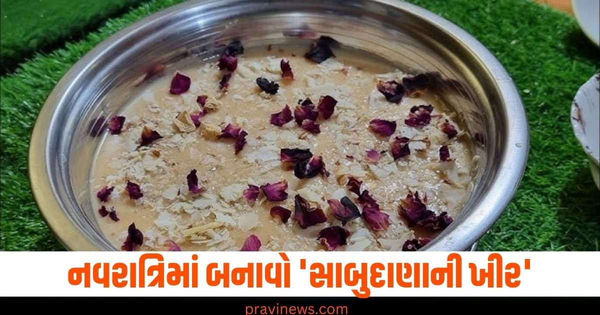 Sabudana Kheer, Vrat Recipe, Fasting Recipe, Vrat Recipe, Sweet Recipes, Food, Recipes, Sabudana Kheer Recipe, Sabudana Kheer Recipe in Gujarati, How To Make Sabudana Kheer, Sabudana Kheer Recipe, Farali Kheer Recipe, Recipe Of Sabudana Kheer, ઉપવાસ માટે સાબુદાણાની ખીર, ફરાળી સાબુદાણા ની ખીર, સાબુદાણાની ખીર રેસીપી, વ્રત માટે સાબુદાણાની ખીર, સાબુદાણાની ખીર બનાવવાની રીત, સાબુદાણા ખીર, Shravan, Shravan Month 2024, Sawan 2024, Shravan Maas 2024, Shravan Mahina, Shravan Mahino 2024, Shravan Month 2024 Gujarat, Gujarati Shravan Month 2024,