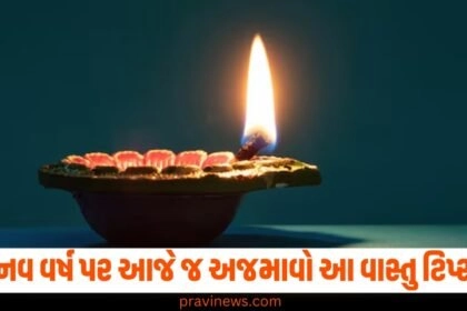 નવ વર્ષ પર આજે જ અજમાવો આ વાસ્તુ ટિપ્સ, આખું વર્ષ જશે જલસામાં https://www.pravinews.com/tag/astrology