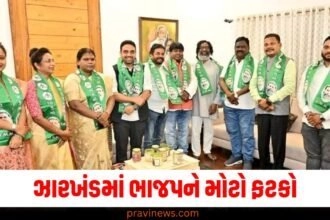 ઝારખંડમાં ભાજપને મોટો ફટકો, હેમંત સોરેનને હરાવનાર લુઈસ મરાંડીના આવા નિર્ણયથી બગડ્યો BJPનો ખેલ https://www.pravinews.com/assembly-elections-jharkhand/jharkhand-assembly-election-2024-jmm-releases-first-list-of-35-candidates-know-who-got-ticket-from-where-50071