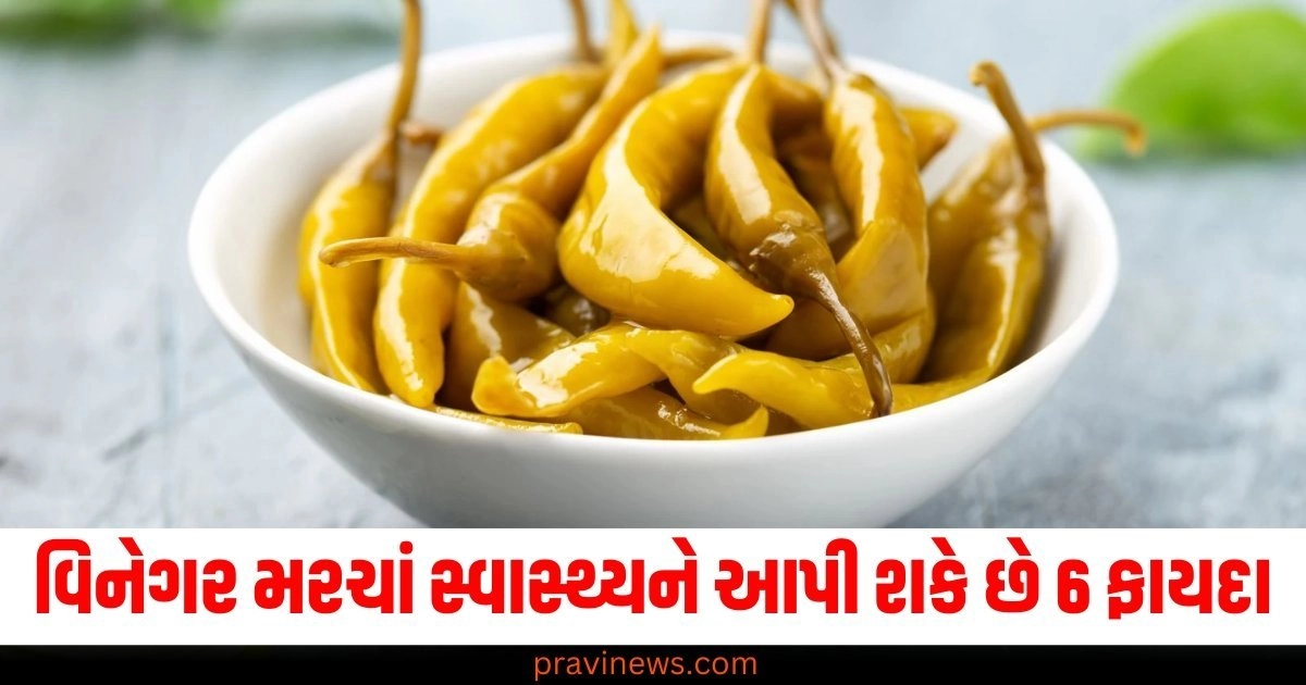 વિનેગર મરચાં સ્વાસ્થ્યને આપી શકે છે 6 ફાયદા, જાણો તેને કેવી રીતે બનાવશો https://www.pravinews.com/lifestyle/fashion-news/story-you-can-style-your-old-saree-again-in-these-5-ways-48567