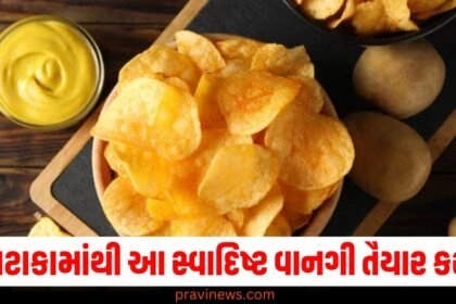 Potato Recipe, Quick Preparation, Delicious Dish, Easy Cooking, Family Favorite,
