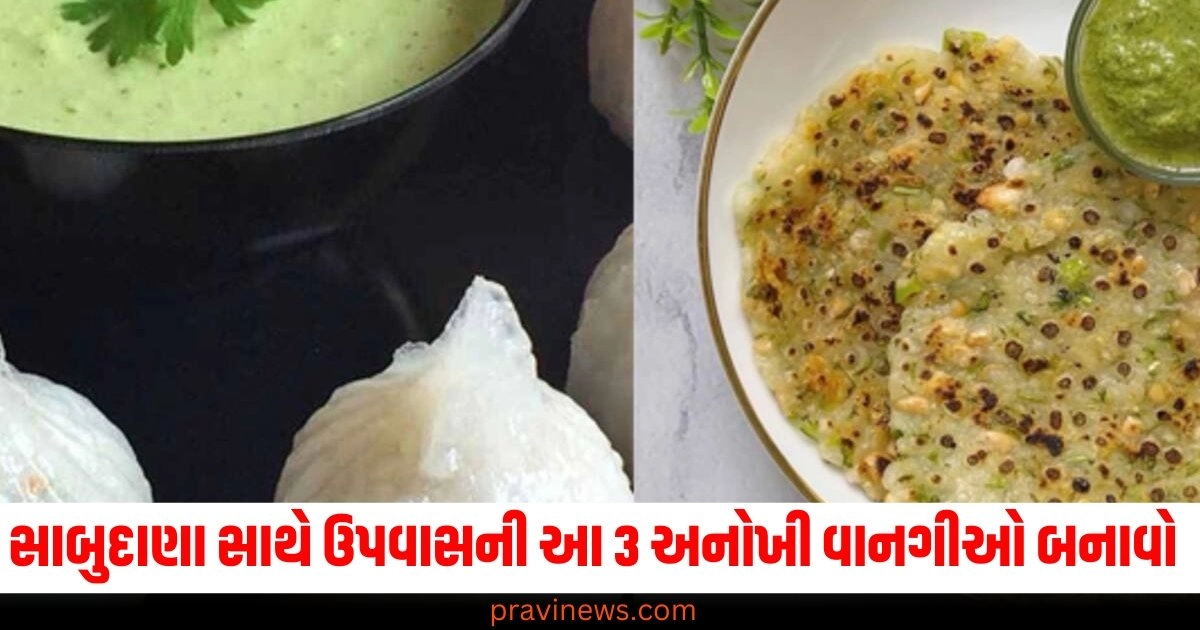 Sabudana recipes, Unique dishes, Vrat snacks, Momus, Pancakes, Easy preparation, Healthy ingredients, Festive meals, Traditional cuisine,