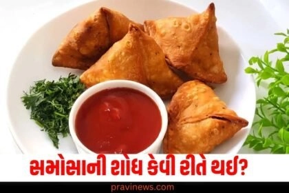 samosa, origin, history, India, culinary journey, cultural influence, traditional snacks, recipe evolution, regional variations,
