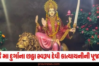 "Shardiya Navratri 2024, Shardiya Navratri 2024 6 day Muhurat, शारदीय नवरात्र 2024 तिथि, शारदीय नवरात्र 2024 शुभ मुहूर्त, शारदीय नवरात्र 2024 उपाय, Shardiya Navratri 2024 day 6, maa katyayni Mantra, maa katyayni Aarti, maa katyayni ki puja vidhi, maa katyayni katha, maa katyayni mantra, maa katyayni, maa katyayni ke bhog, maa katyayni flower, navratri 6th day,