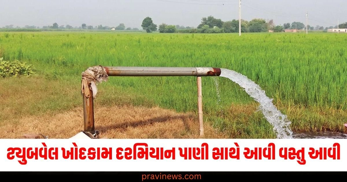 farm, tube well, excavation, water, object, workers, ran away, fear, surprise, incident,