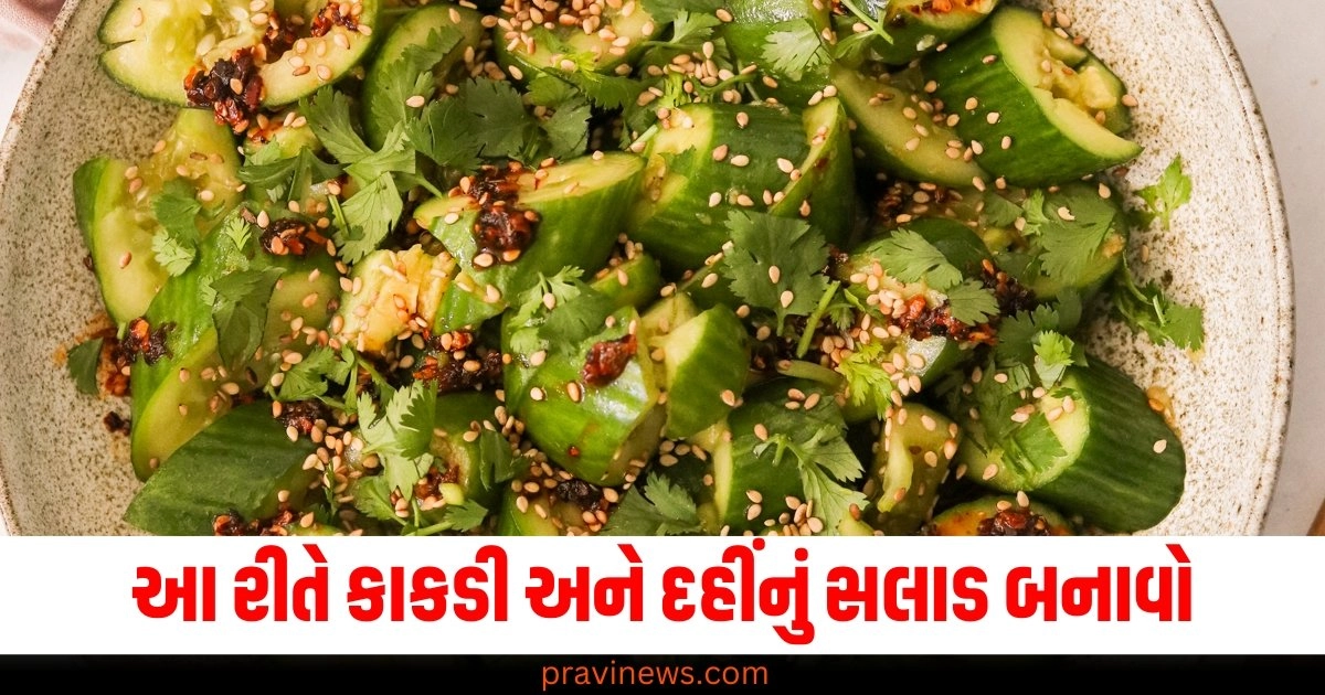 આ રીતે કાકડી અને દહીંનું સ્વાદિષ્ટ સલાડ બનાવો, ખાધા પછી તમને મજા આવશે. https://www.pravinews.com/technology/gadgets-blaupunkt-atomik-grab-bluetooth-speaker-10-hour-battery-20w-sound-usb-port-diwali-sale-48973