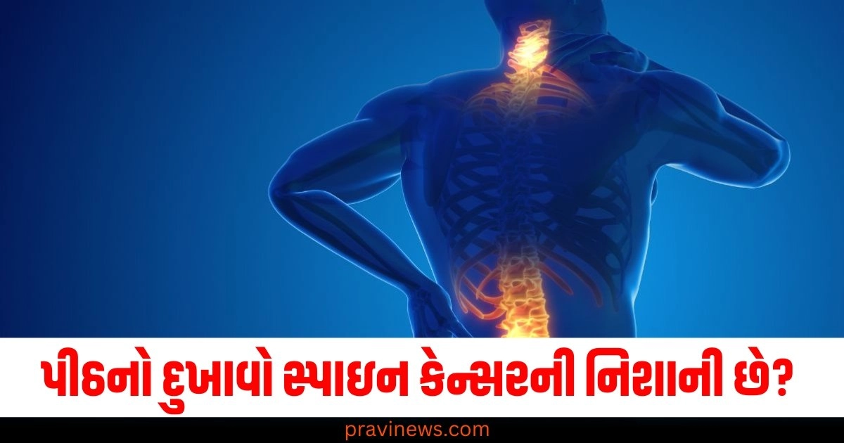 શું પીઠનો દુખાવો સ્પાઇન કેન્સરની શરૂઆતની નિશાની છે? જાણો તેનું કારણ https://www.pravinews.com/technology/amazon-prime-video-show-advertisements-to-subscribers-in-india-48138