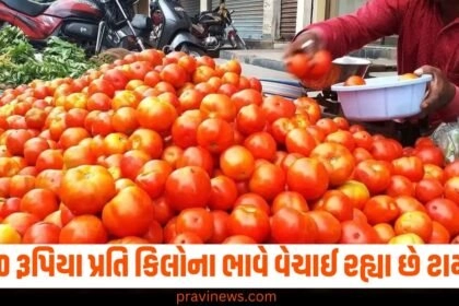 "tomato price in delhi,tomato prices,tomato price in india,Tomatoes price,NCCF,NAFED">