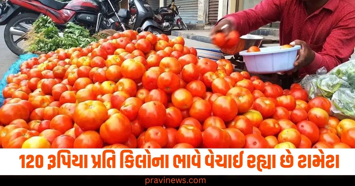 "tomato price in delhi,tomato prices,tomato price in india,Tomatoes price,NCCF,NAFED">