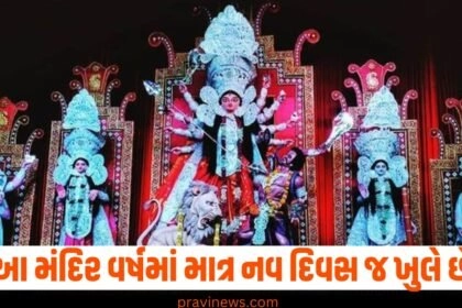 માતા દુર્ગા મંદિર, નવરાત્રિ ફેસ્ટિવલ, ફક્ત નવ દિવસ, ભક્તોનું દર્શન, ધાર્મિક સ્થળ,