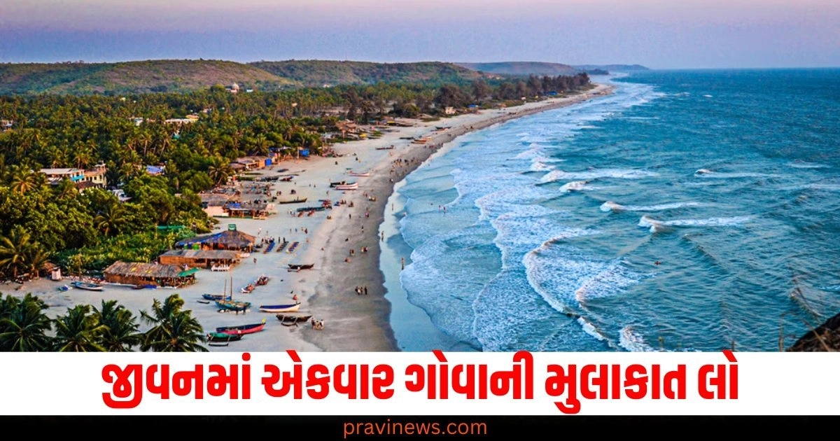 જીવનમાં એકવાર ગોવાની મુલાકાત લો, વોટર સ્પોર્ટ્સથી લઈને ગોવા નાઈટ લાઈફ સુધીની દરેક વસ્તુનો આનંદ માણો. https://www.pravinews.com/religion/astrology/who-can-wear-diamond-gemstone-of-venus-know-when-and-how-to-wear-hira-52411