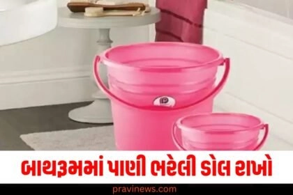 Vastu tips, Vastu tips for bathrooms, bathroom vastu, blue bucket vastu, vastu financial trouble, vastu wealth,vastu tips, Vastu tips for bathrooms,