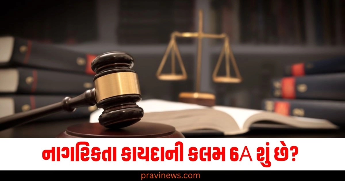 નાગરિકતા કાયદાની કલમ 6A શું છે? સુપ્રીમ કોર્ટે તેના નિર્ણયમાં શું કહ્યું જાણો બધું https://www.pravinews.com/politics/bjp-excited-with-victory-in-haryana-big-meeting-of-nda-in-chandigarh-after-nayab-singh-saini-s-swearing-in-48227