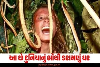 scariest house, challenge, 10 hours, big reward, haunted attraction, fear factor, horror experience,