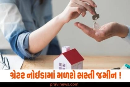 YEIDA Plot Scheme 2024, Yamuna Authority, YEIDA, Noida Plot Scheme, Greater Noida, YEIDA Residential Plot, Noida Residential Plot,Uttar Pradesh new