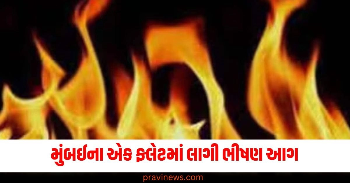 મુંબઈના ફ્લેટમાં લાગી ભીષણ આગ , વૃદ્ધ દંપતી સહિત ત્રણના કરૂણ મોત https://www.pravinews.com/world-news-in-gujarati/mumbai-fire-in-10th-floor-flat-kills-elderly-couple-and-staff-47811