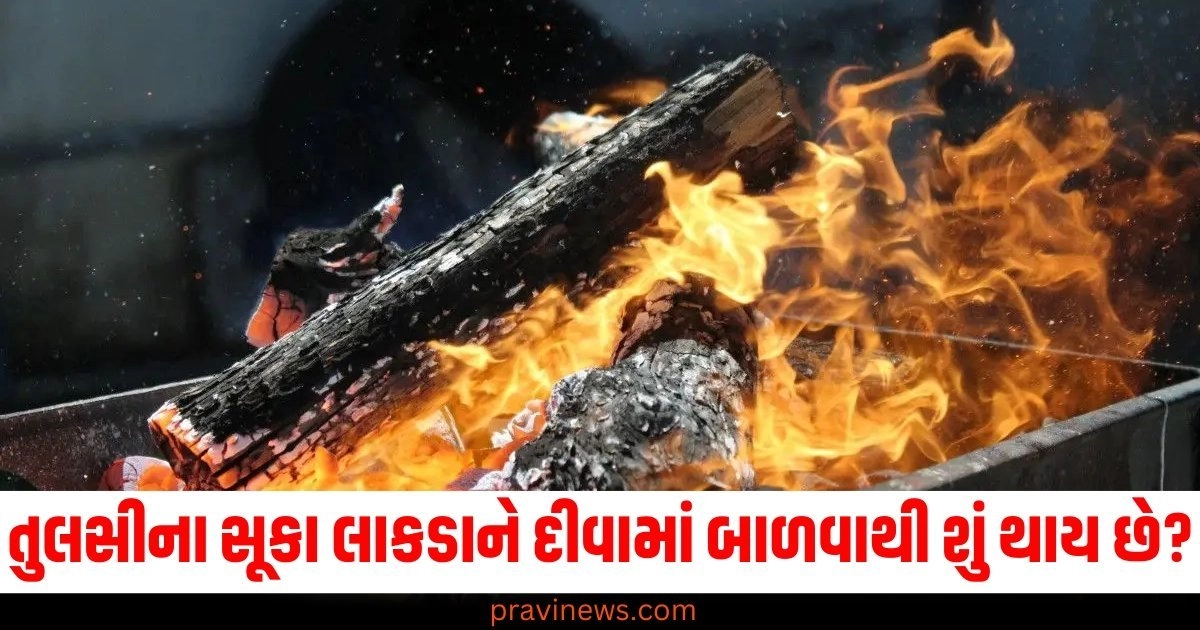 તુલસીના સૂકા લાકડાને દીવામાં બાળવાથી શું થાય છે? જાણો અહીં https://www.pravinews.com/tag/%e0%aa%a4%e0%ab%81%e0%aa%b2%e0%aa%b8%e0%ab%80