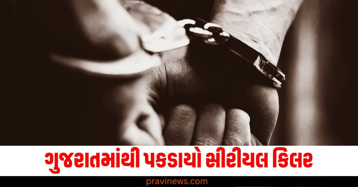 ગુજરાતમાંથી પકડાયો સીરીયલ કિલર, 25 દિવસમાં કરી 5 હત્યાઓ https://www.pravinews.com/gujarat-news/election-result-of-ahmedabad-east-lok-sabha-seat-bjps-hasmukh-patel-wins-10831