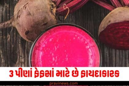 3 પીણાં ફેફસાં માટે છે ફાયદાકારક, શરીરને ડિટોક્સ રાખવામાં પણ મદદ કરશે https://www.pravinews.com/tag/%e0%aa%ab%e0%ab%87%e0%aa%ab%e0%aa%b8%e0%aa%be%e0%aa%82