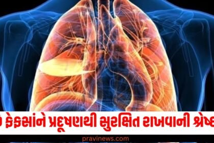 ઘરથી લઈને બહાર સુધી ફેફસાંને પ્રદૂષણથી સુરક્ષિત રાખવાની શ્રેષ્ઠ રીતો. https://www.pravinews.com/tag/%e0%aa%ab%e0%ab%87%e0%aa%ab%e0%aa%b8%e0%aa%be%e0%aa%82