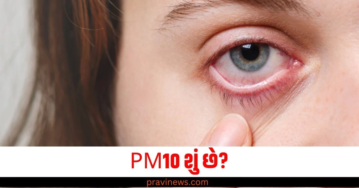 PM10 શું છે? જેના કારણે આંખ સંબંધિત બીમારીઓનો ખતરો વધી જાય છે https://www.pravinews.com/lifestyle/health-fitness/air-pollution-delhi-aqi-400-heart-attack-pm-2-5-to-10-harmful-side-effects-57893