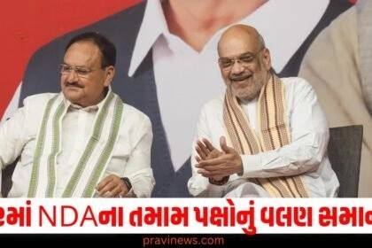 Election campaign, NDA, All parties, Stance, Same, Meeting, Amit Shah, Decision,