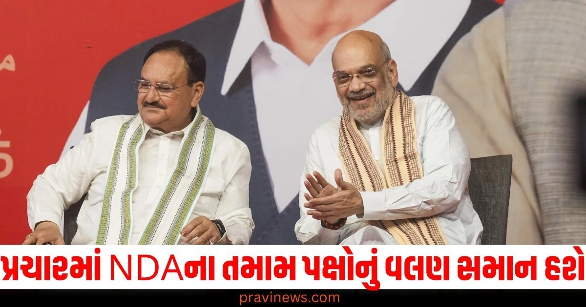 Election campaign, NDA, All parties, Stance, Same, Meeting, Amit Shah, Decision,