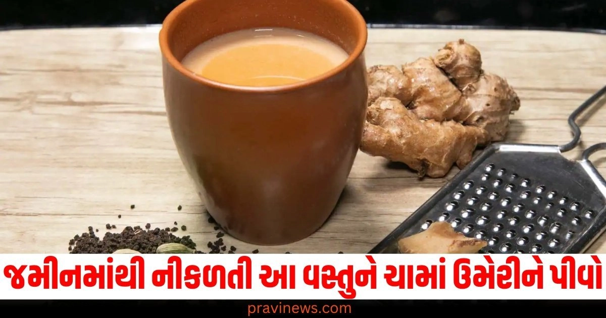 જમીનમાંથી નીકળતી આ વસ્તુને ચામાં ઉમેરીને પીવો, શરદી અને ખાંસી થશે દૂર https://www.pravinews.com/lifestyle/health-fitness/liver-cancer-know-how-dangerous-liver-cancer-is-what-are-its-symptoms-4995