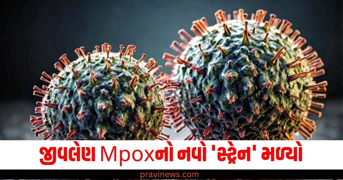 જીવલેણ Mpoxનો નવો 'સ્ટ્રેન' મળ્યો, અમેરિકામાં એલર્ટ જારી https://www.pravinews.com/tag/mpox